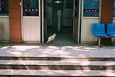 《漫威蜘蛛侠2》PS5联动主机价格泄露 售价599.99美元